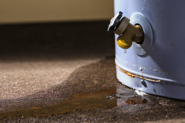 Best Water damage restoration mold remediation  in Putney, GA