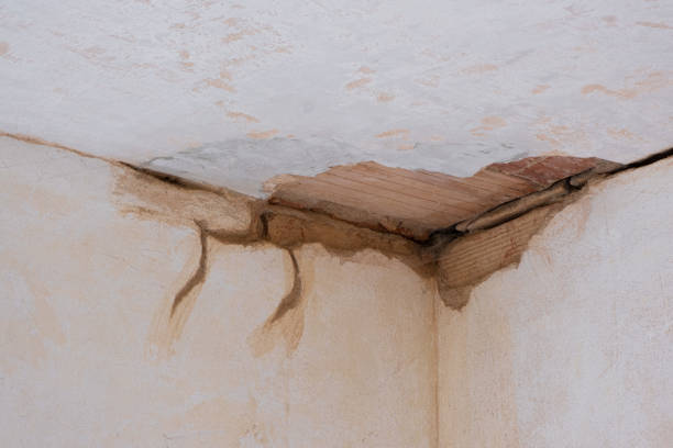 Best Water damage restoration company  in Putney, GA