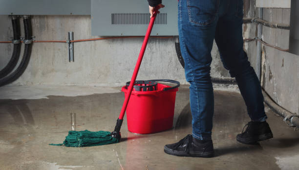 Best Carpet water damage restoration  in Putney, GA