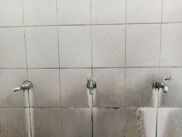 Best Emergency water damage restoration  in Putney, GA