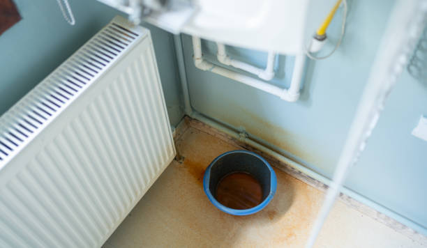 Best Water damage cleanup near me  in Putney, GA