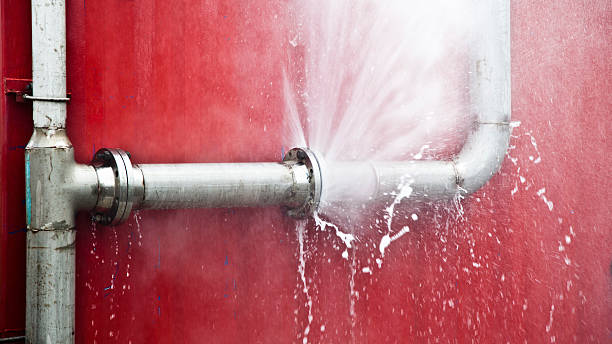 Best Mold removal after water damage  in Putney, GA